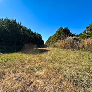 Photo #36 of 467 AC Baum Rd VA & 266 Ac W  Gibbs Rd Currituck Co NC, Currituck, NC 733.0 acres