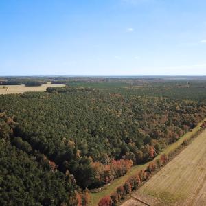 Photo #37 of 467 AC Baum Rd VA & 266 Ac W  Gibbs Rd Currituck Co NC, Currituck, NC 733.0 acres
