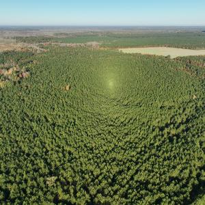 Photo #40 of 467 AC Baum Rd VA & 266 Ac W  Gibbs Rd Currituck Co NC, Currituck, NC 733.0 acres