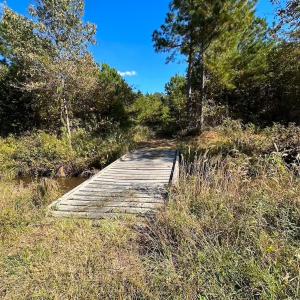 Photo #42 of 467 AC Baum Rd VA & 266 Ac W  Gibbs Rd Currituck Co NC, Currituck, NC 733.0 acres