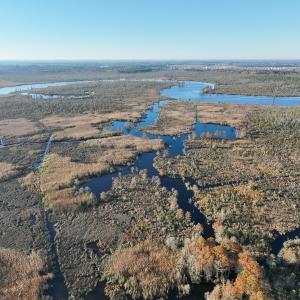 Photo #8 of 467 AC Baum Rd VA & 266 Ac W  Gibbs Rd Currituck Co NC, Currituck, NC 733.0 acres