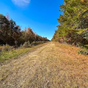 Photo #48 of 467 AC Baum Rd VA & 266 Ac W  Gibbs Rd Currituck Co NC, Currituck, NC 733.0 acres