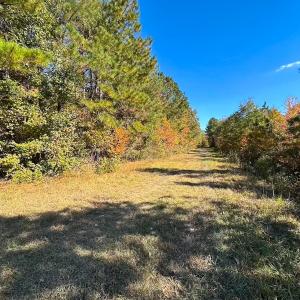 Photo #49 of 467 AC Baum Rd VA & 266 Ac W  Gibbs Rd Currituck Co NC, Currituck, NC 733.0 acres