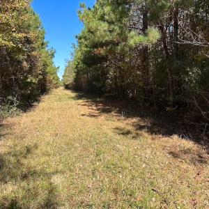 Photo #55 of 467 AC Baum Rd VA & 266 Ac W  Gibbs Rd Currituck Co NC, Currituck, NC 733.0 acres