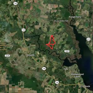 Photo #57 of 467 AC Baum Rd VA & 266 Ac W  Gibbs Rd Currituck Co NC, Currituck, NC 733.0 acres