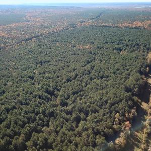 Photo #1 of 467 AC Baum Rd VA & 266 Ac W  Gibbs Rd Currituck Co NC, Virginia Beach, VA 733.0 acres