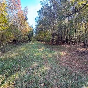 Photo #11 of 467 AC Baum Rd VA & 266 Ac W  Gibbs Rd Currituck Co NC, Virginia Beach, VA 733.0 acres
