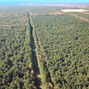 Photo #12 of 467 AC Baum Rd VA & 266 Ac W  Gibbs Rd Currituck Co NC, Virginia Beach, VA 733.0 acres