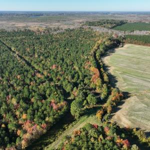 Photo #4 of 467 AC Baum Rd VA & 266 Ac W  Gibbs Rd Currituck Co NC, Virginia Beach, VA 733.0 acres