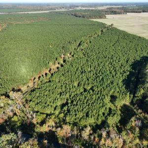 Photo #22 of 467 AC Baum Rd VA & 266 Ac W  Gibbs Rd Currituck Co NC, Virginia Beach, VA 733.0 acres