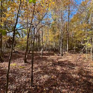 Photo #24 of 467 AC Baum Rd VA & 266 Ac W  Gibbs Rd Currituck Co NC, Virginia Beach, VA 733.0 acres