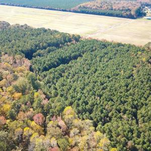 Photo #26 of 467 AC Baum Rd VA & 266 Ac W  Gibbs Rd Currituck Co NC, Virginia Beach, VA 733.0 acres
