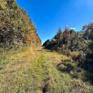 Photo #30 of 467 AC Baum Rd VA & 266 Ac W  Gibbs Rd Currituck Co NC, Virginia Beach, VA 733.0 acres