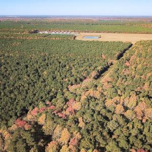 Photo #31 of 467 AC Baum Rd VA & 266 Ac W  Gibbs Rd Currituck Co NC, Virginia Beach, VA 733.0 acres