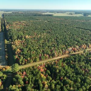 Photo #32 of 467 AC Baum Rd VA & 266 Ac W  Gibbs Rd Currituck Co NC, Virginia Beach, VA 733.0 acres