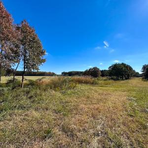 Photo #34 of 467 AC Baum Rd VA & 266 Ac W  Gibbs Rd Currituck Co NC, Virginia Beach, VA 733.0 acres