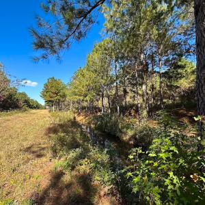 Photo #38 of 467 AC Baum Rd VA & 266 Ac W  Gibbs Rd Currituck Co NC, Virginia Beach, VA 733.0 acres