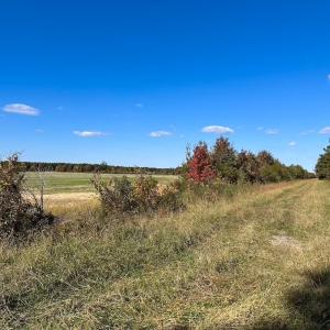 Photo #39 of 467 AC Baum Rd VA & 266 Ac W  Gibbs Rd Currituck Co NC, Virginia Beach, VA 733.0 acres
