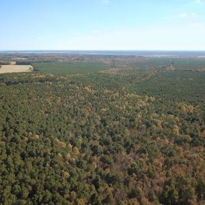 Photo #45 of 467 AC Baum Rd VA & 266 Ac W  Gibbs Rd Currituck Co NC, Virginia Beach, VA 733.0 acres