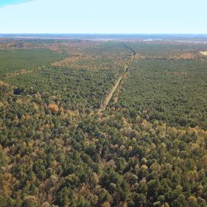 Photo #47 of 467 AC Baum Rd VA & 266 Ac W  Gibbs Rd Currituck Co NC, Virginia Beach, VA 733.0 acres