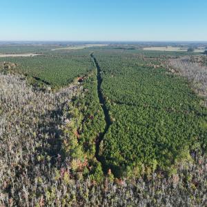 Photo #51 of 467 AC Baum Rd VA & 266 Ac W  Gibbs Rd Currituck Co NC, Virginia Beach, VA 733.0 acres