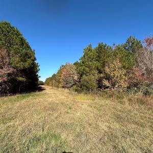 Photo #52 of 467 AC Baum Rd VA & 266 Ac W  Gibbs Rd Currituck Co NC, Virginia Beach, VA 733.0 acres