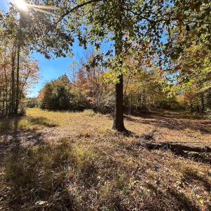 Photo #53 of 467 AC Baum Rd VA & 266 Ac W  Gibbs Rd Currituck Co NC, Virginia Beach, VA 733.0 acres