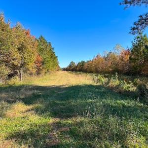 Photo #56 of 467 AC Baum Rd VA & 266 Ac W  Gibbs Rd Currituck Co NC, Virginia Beach, VA 733.0 acres