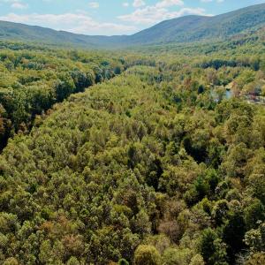 Photo #57 of 1504 Hutchison Rd. New Castle, VA, New Castle , VA 89.0 acres