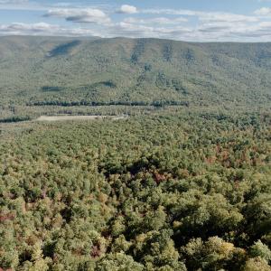 Photo #58 of 1504 Hutchison Rd. New Castle, VA, New Castle , VA 89.0 acres