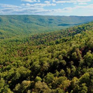 Photo #59 of 1504 Hutchison Rd. New Castle, VA, New Castle , VA 89.0 acres