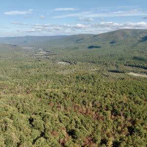 Photo #60 of 1504 Hutchison Rd. New Castle, VA, New Castle , VA 89.0 acres