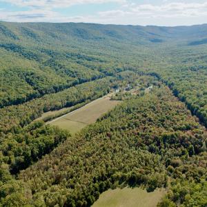 Photo #62 of 1504 Hutchison Rd. New Castle, VA, New Castle , VA 89.0 acres