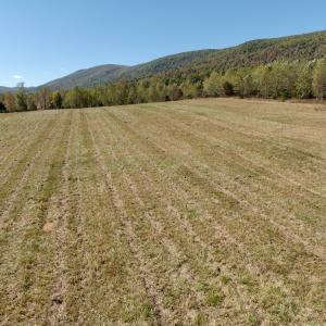 Photo #71 of 1504 Hutchison Rd. New Castle, VA, New Castle , VA 89.0 acres