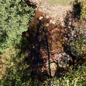 Photo #72 of 1504 Hutchison Rd. New Castle, VA, New Castle , VA 89.0 acres