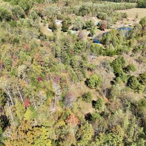 Photo #74 of 1504 Hutchison Rd. New Castle, VA, New Castle , VA 89.0 acres