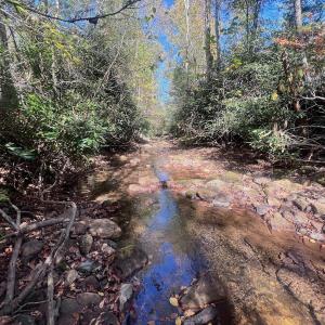 Photo #78 of 1504 Hutchison Rd. New Castle, VA, New Castle , VA 89.0 acres