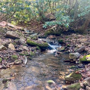 Photo #79 of 1504 Hutchison Rd. New Castle, VA, New Castle , VA 89.0 acres