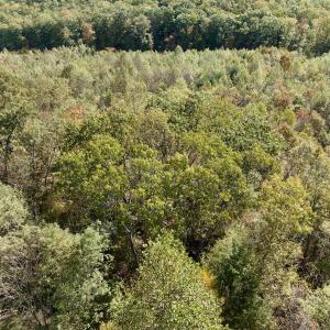 Photo #64 of 1504 Hutchison Rd. New Castle, VA, New Castle , VA 89.0 acres