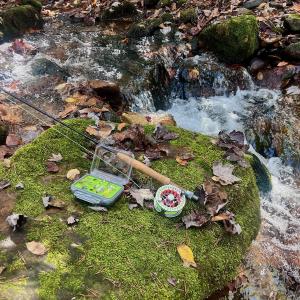 Photo #81 of 1504 Hutchison Rd. New Castle, VA, New Castle , VA 89.0 acres