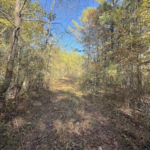 Photo #13 of Off T Tarpey Ln, Sanford, NC 12.6 acres