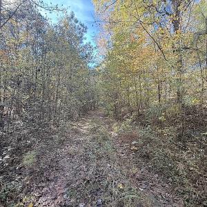 Photo #14 of Off T Tarpey Ln, Sanford, NC 12.6 acres