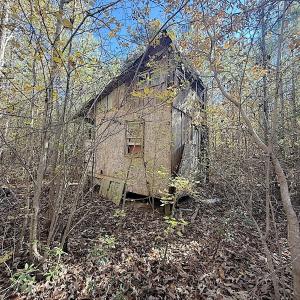 Photo #16 of Off T Tarpey Ln, Sanford, NC 12.6 acres