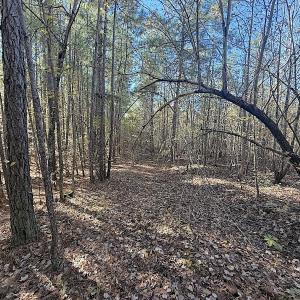 Photo #18 of Off T Tarpey Ln, Sanford, NC 12.6 acres