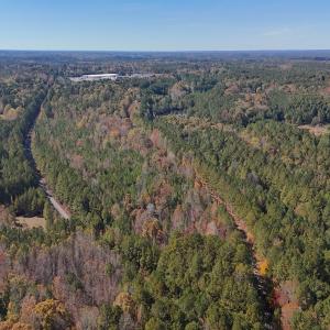 Photo #19 of Off T Tarpey Ln, Sanford, NC 12.6 acres