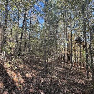 Photo #20 of Off T Tarpey Ln, Sanford, NC 12.6 acres