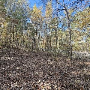 Photo #24 of Off T Tarpey Ln, Sanford, NC 12.6 acres