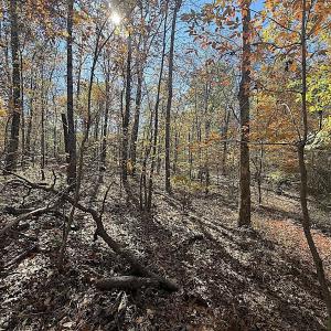 Photo #25 of Off T Tarpey Ln, Sanford, NC 12.6 acres