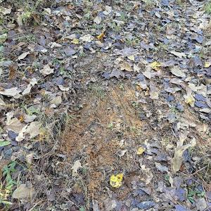 Photo #28 of Off T Tarpey Ln, Sanford, NC 12.6 acres