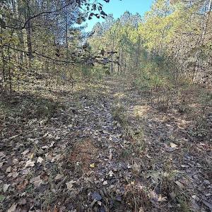 Photo #32 of Off T Tarpey Ln, Sanford, NC 12.6 acres